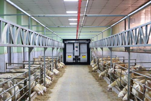 農(nóng)業(yè)“雙強(qiáng)”行動(dòng)結(jié)碩果，浙江農(nóng)業(yè)生產(chǎn)更高效，集裝箱租賃助力產(chǎn)業(yè)升級(jí)